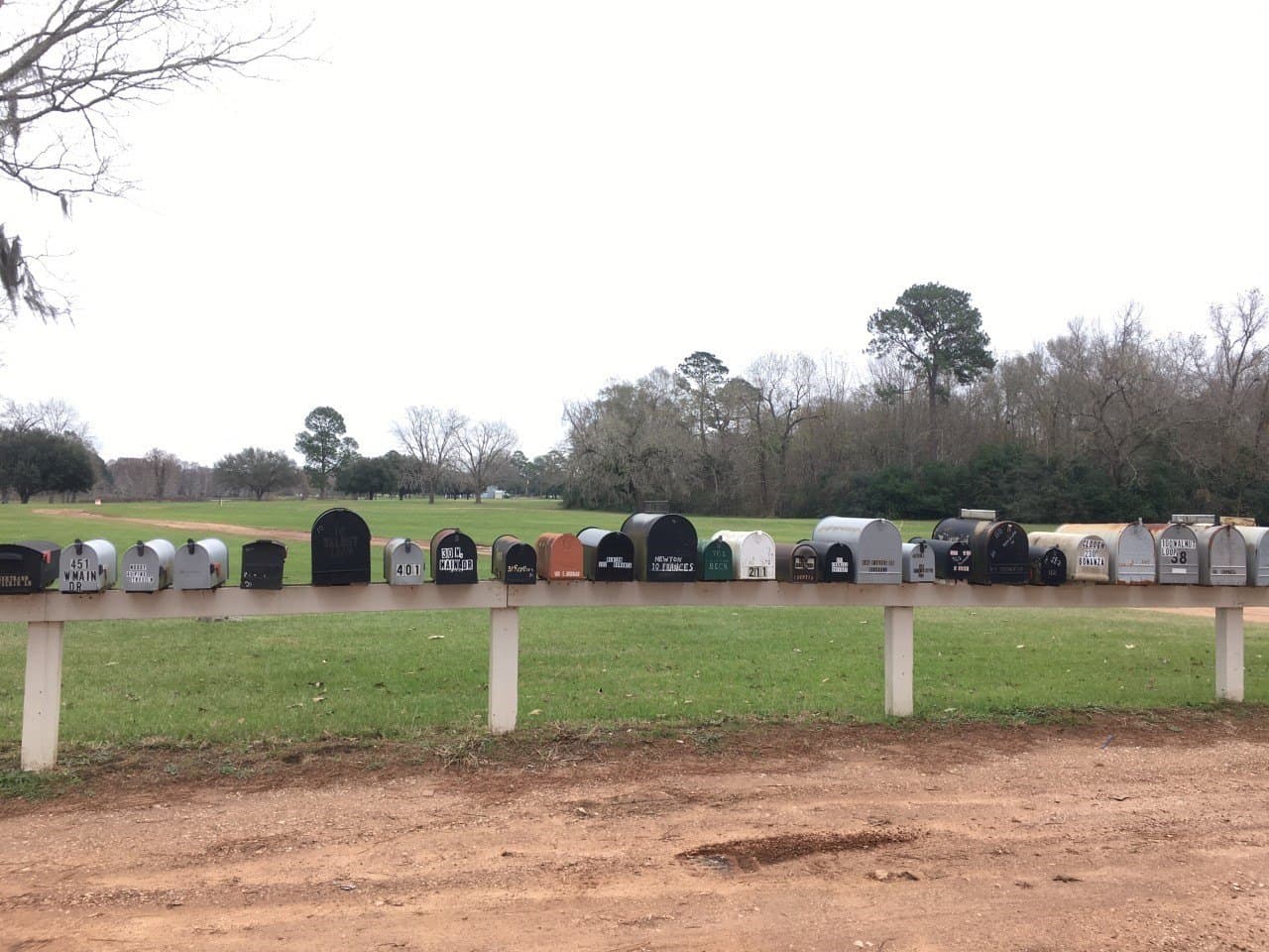 0.34 acres in San Jacinto County - photo 7