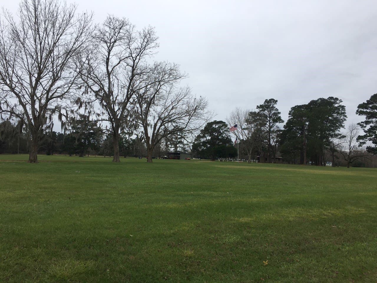 0.34 acres in San Jacinto County - photo 6