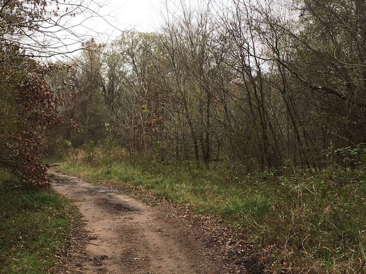 0.34 acres in San Jacinto County - photo 2
