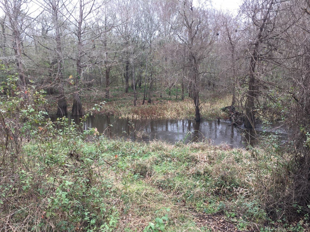 0.34 acres in San Jacinto County - photo 4