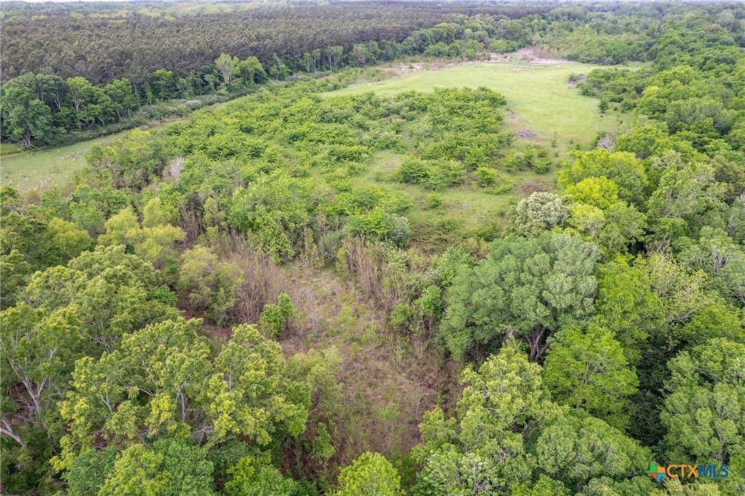 100 acres in Cherokee County gallery image 4