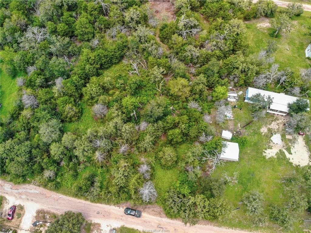 0.56 acres in Burleson County - photo 8