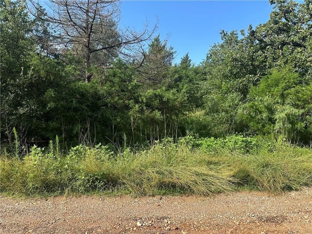 0.56 acres in Burleson County - photo 4