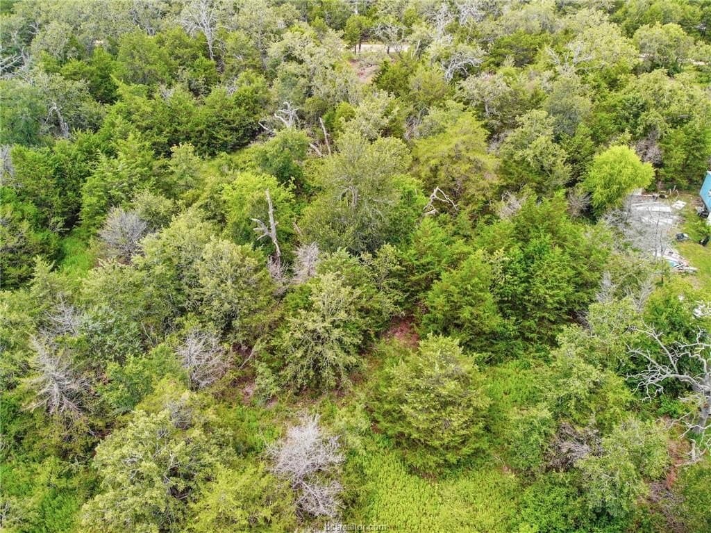 0.56 acres in Burleson County - photo 6