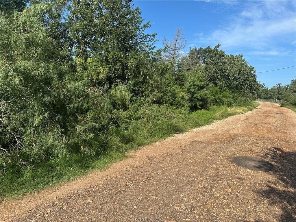 0.56 acres in Burleson County - photo 3