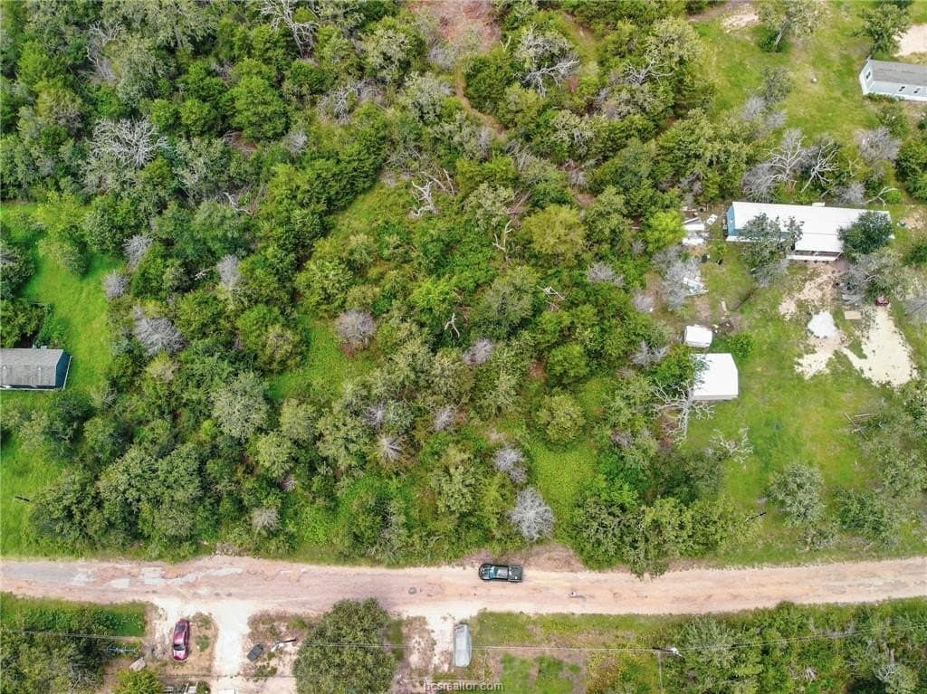 0.56 acres in Burleson County - photo 9