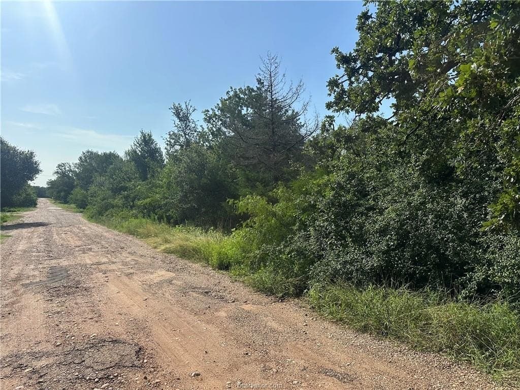 0.56 acres in Burleson County - photo 5
