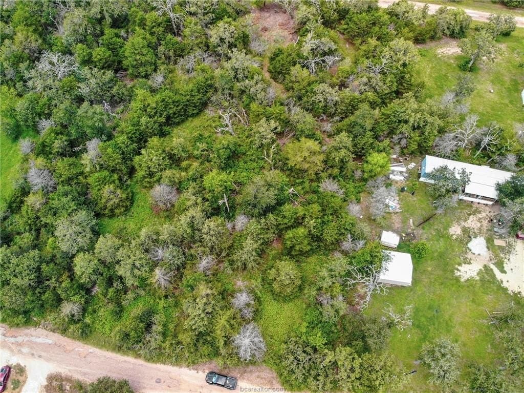 0.56 acres in Burleson County - photo 7