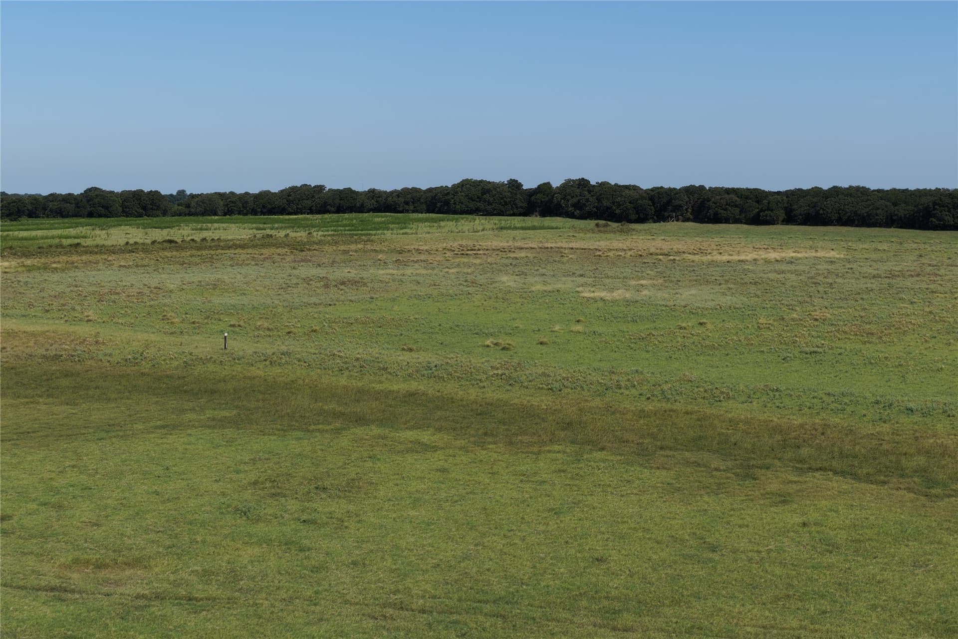 135 acres in Comanche County - photo 9