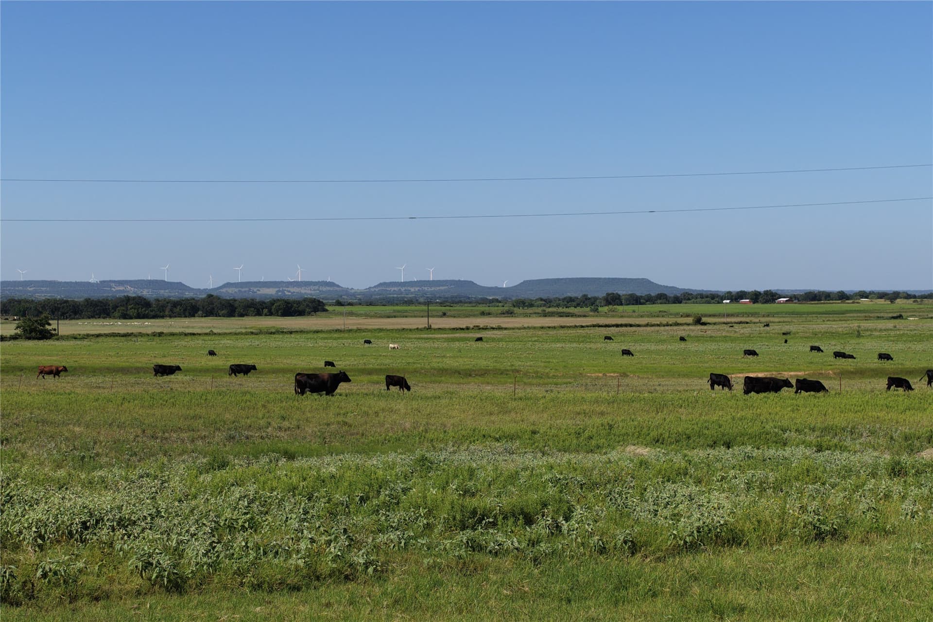 135 acres in Comanche County - photo 3
