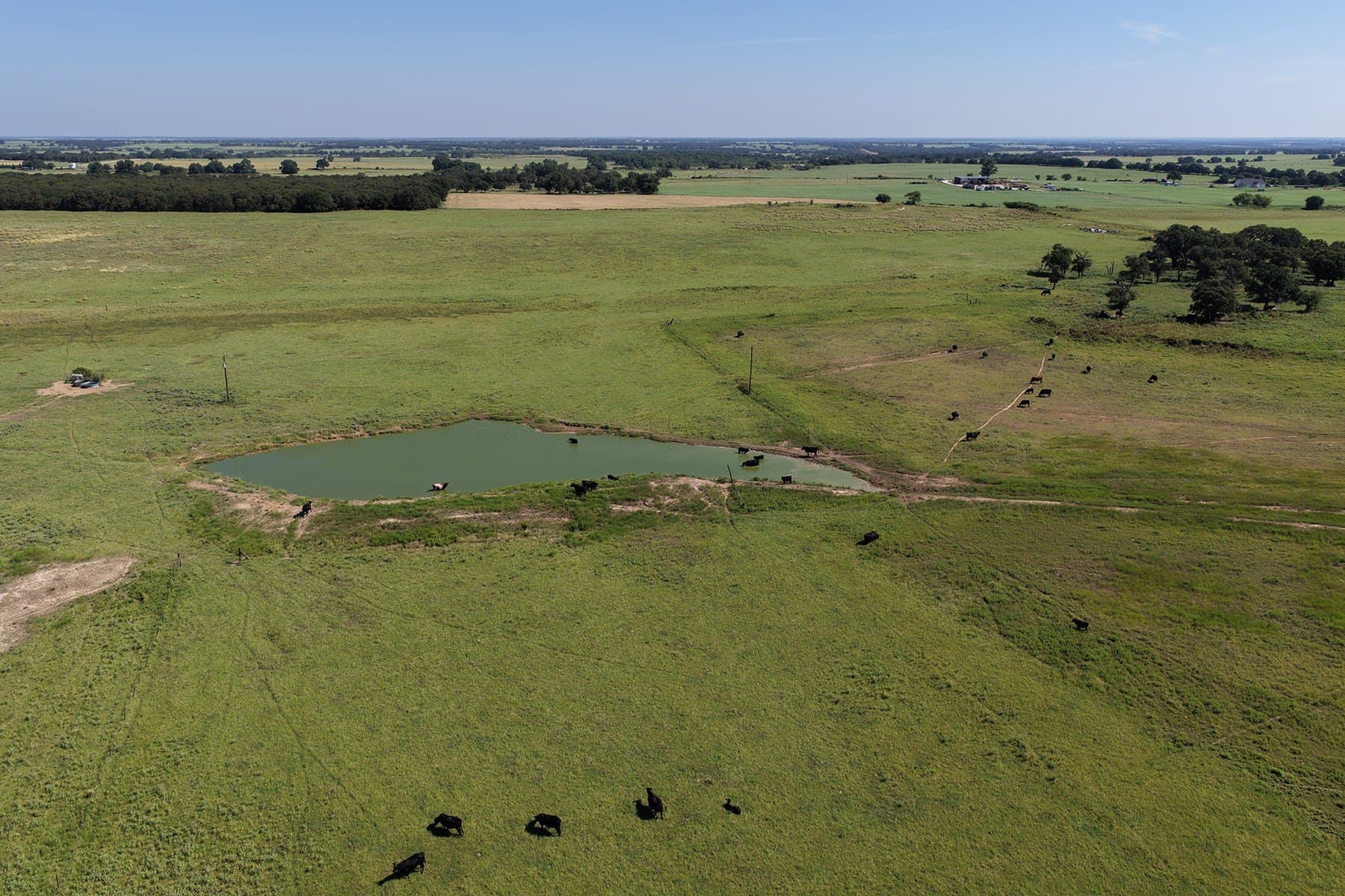 135 acres in Comanche County - photo 14