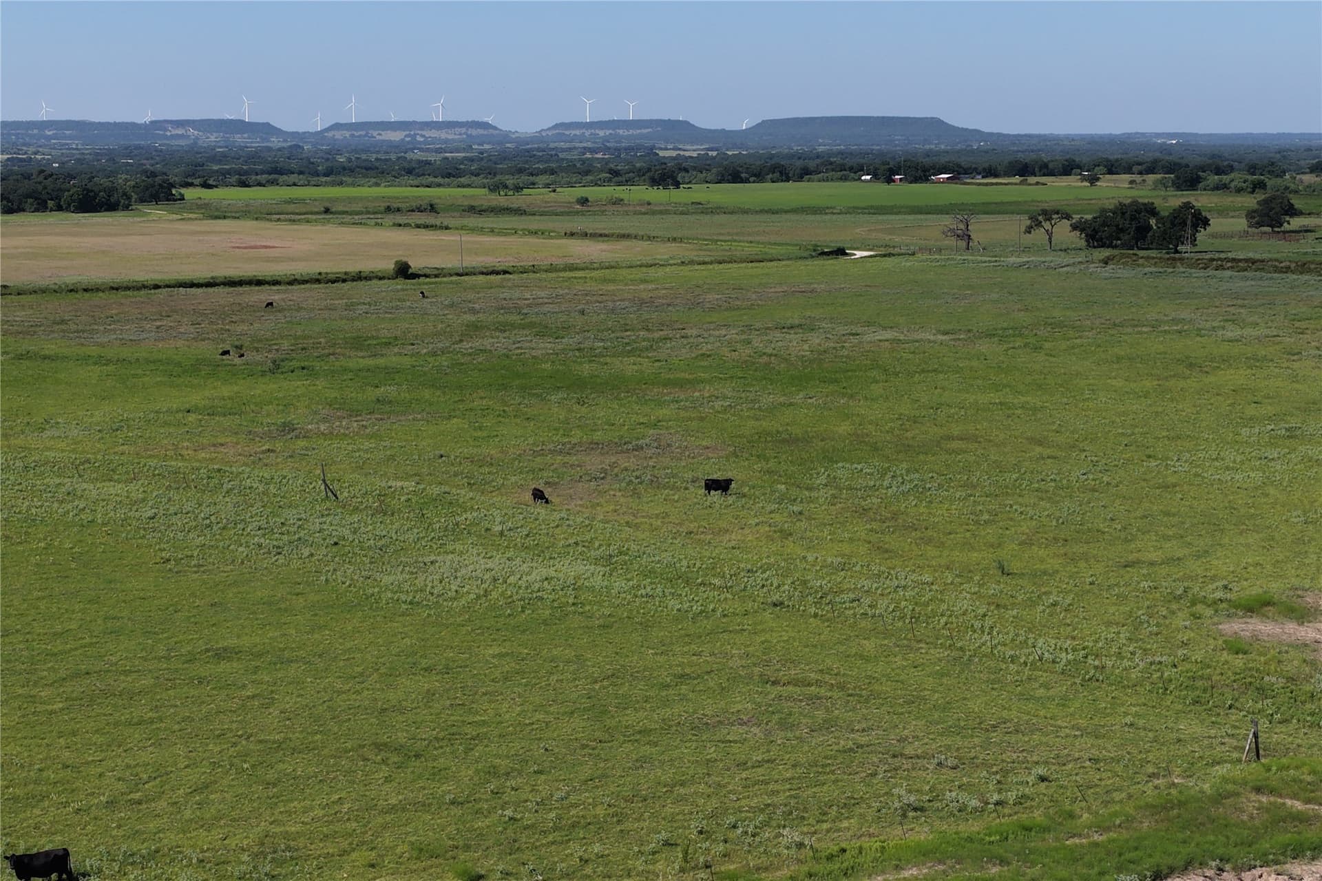 135 acres in Comanche County - photo 7