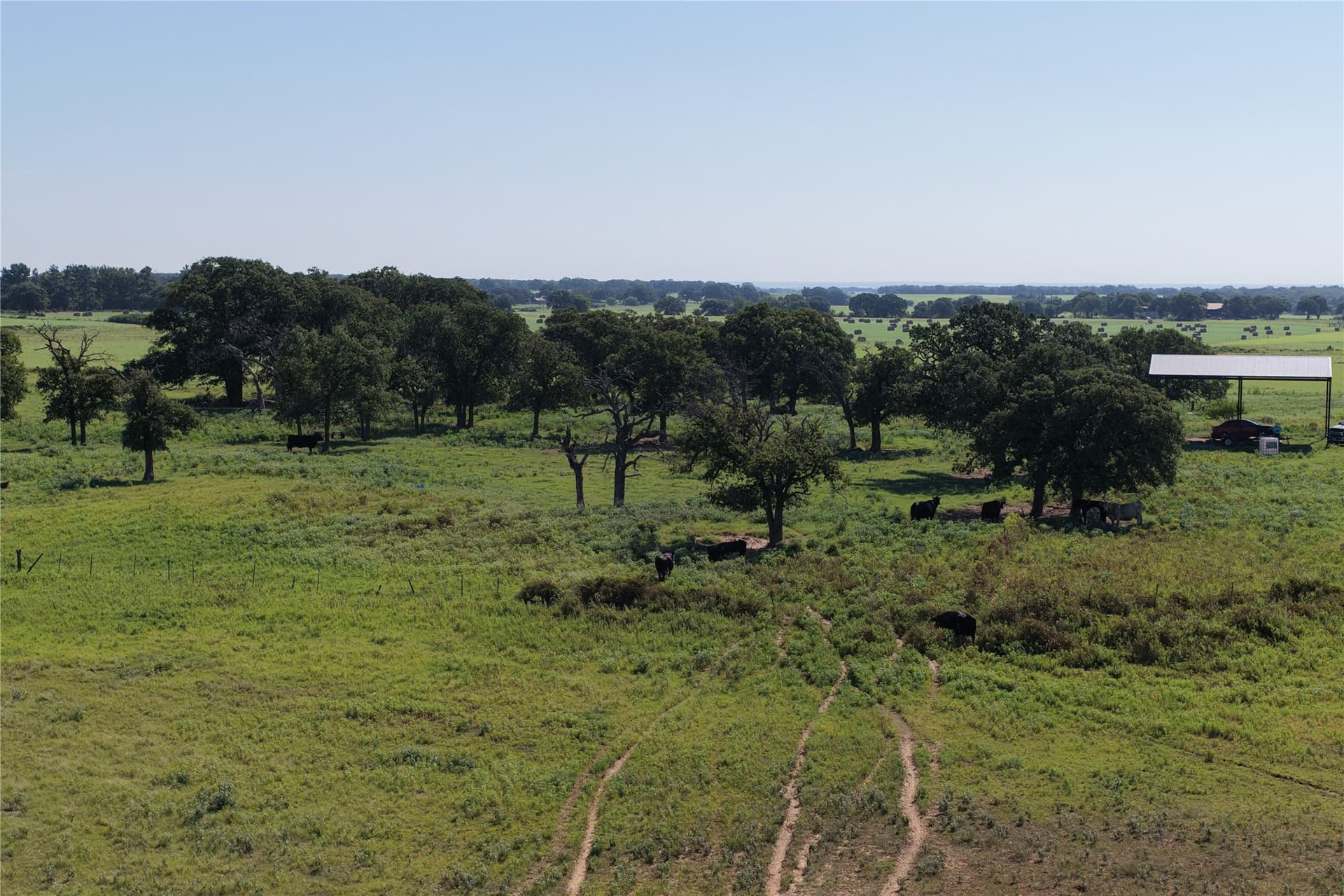 135 acres in Comanche County - photo 10