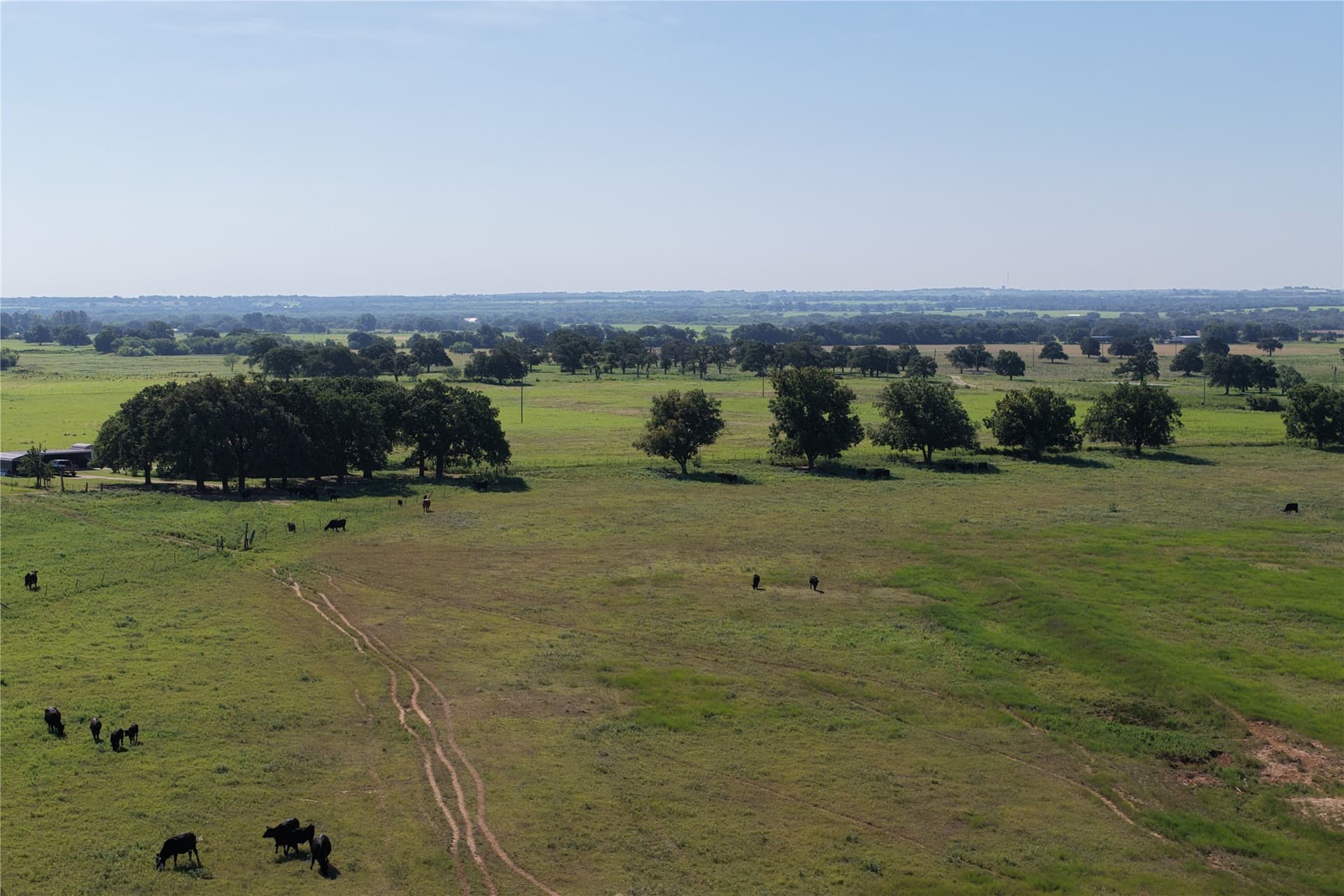 135 acres in Comanche County - photo 4