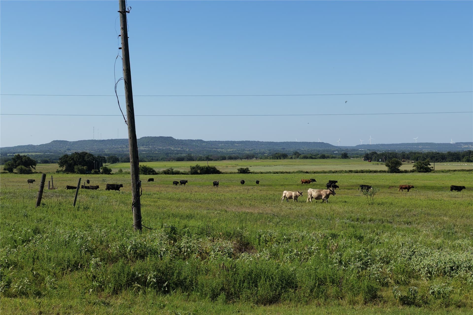 135 acres in Comanche County - photo 2