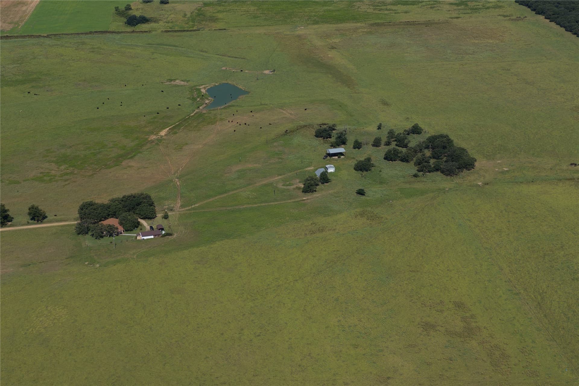 135 acres in Comanche County - photo 5