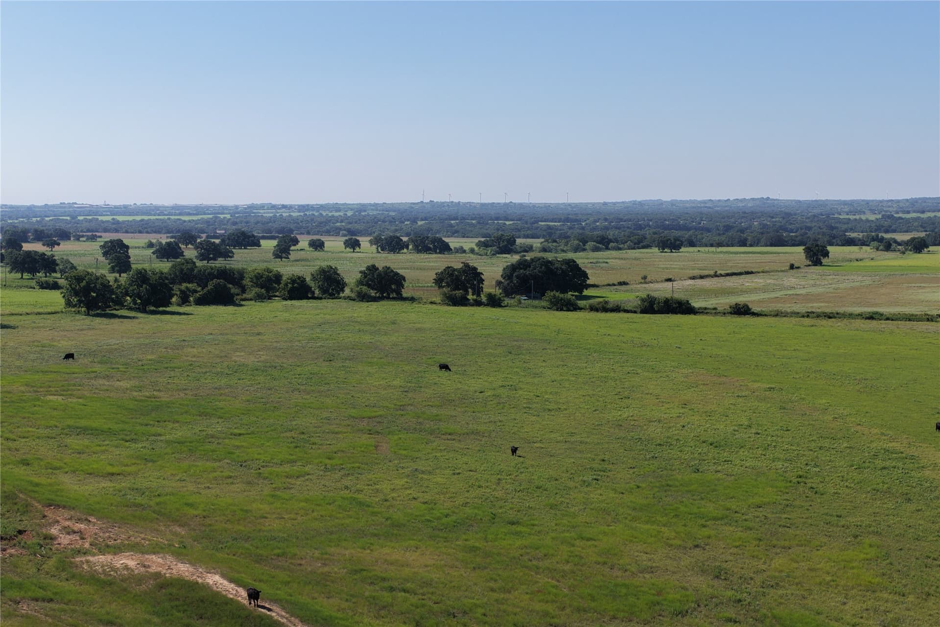 135 acres in Comanche County - photo 6