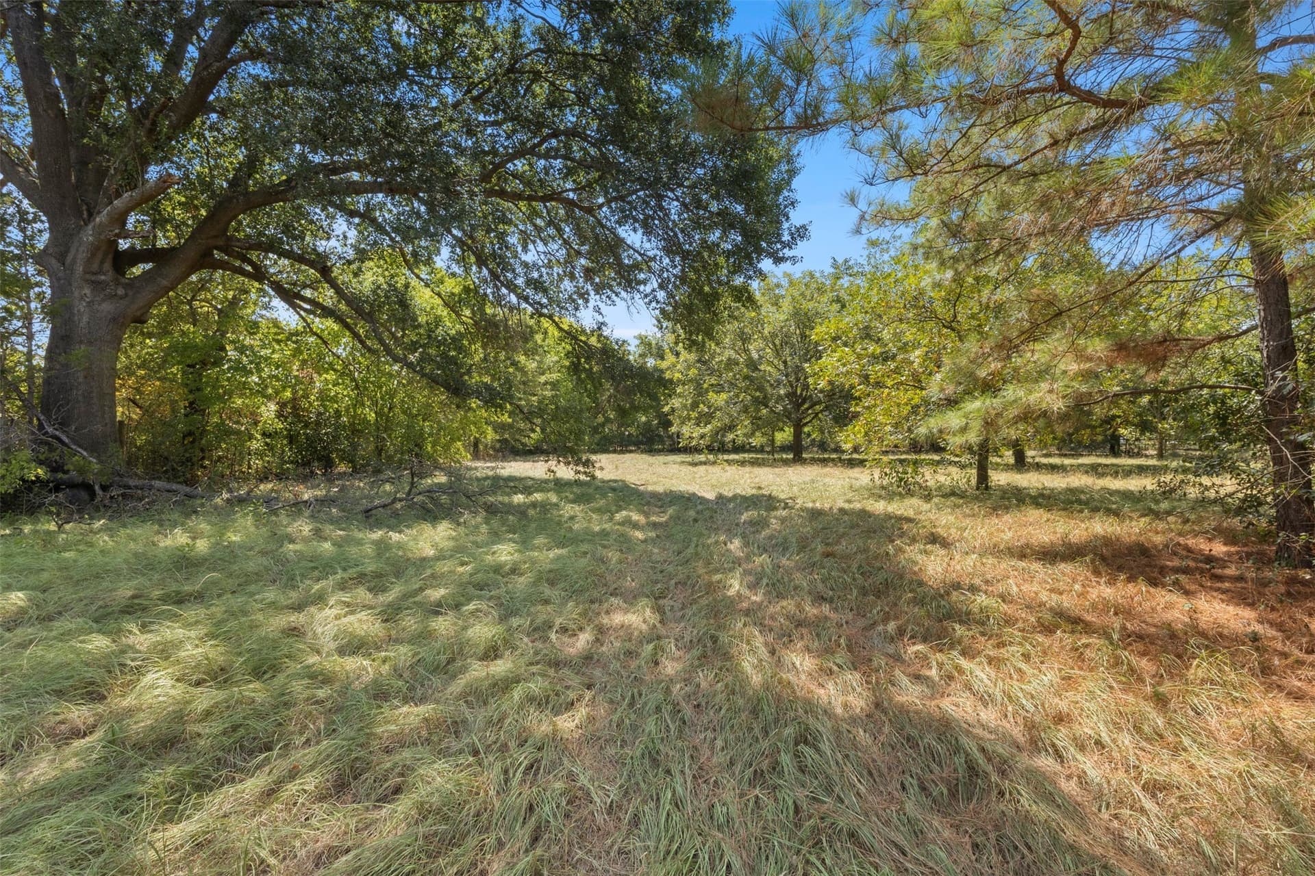 3 acres in Kaufman County - photo 10