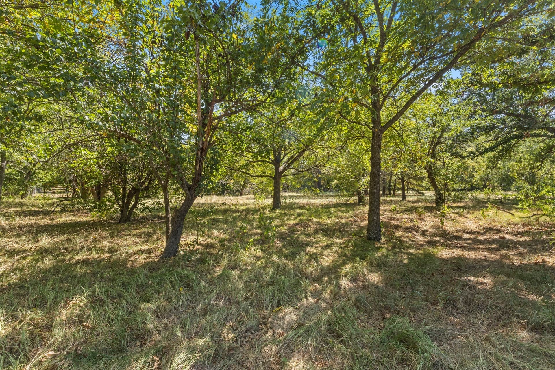 3 acres in Kaufman County - photo 6