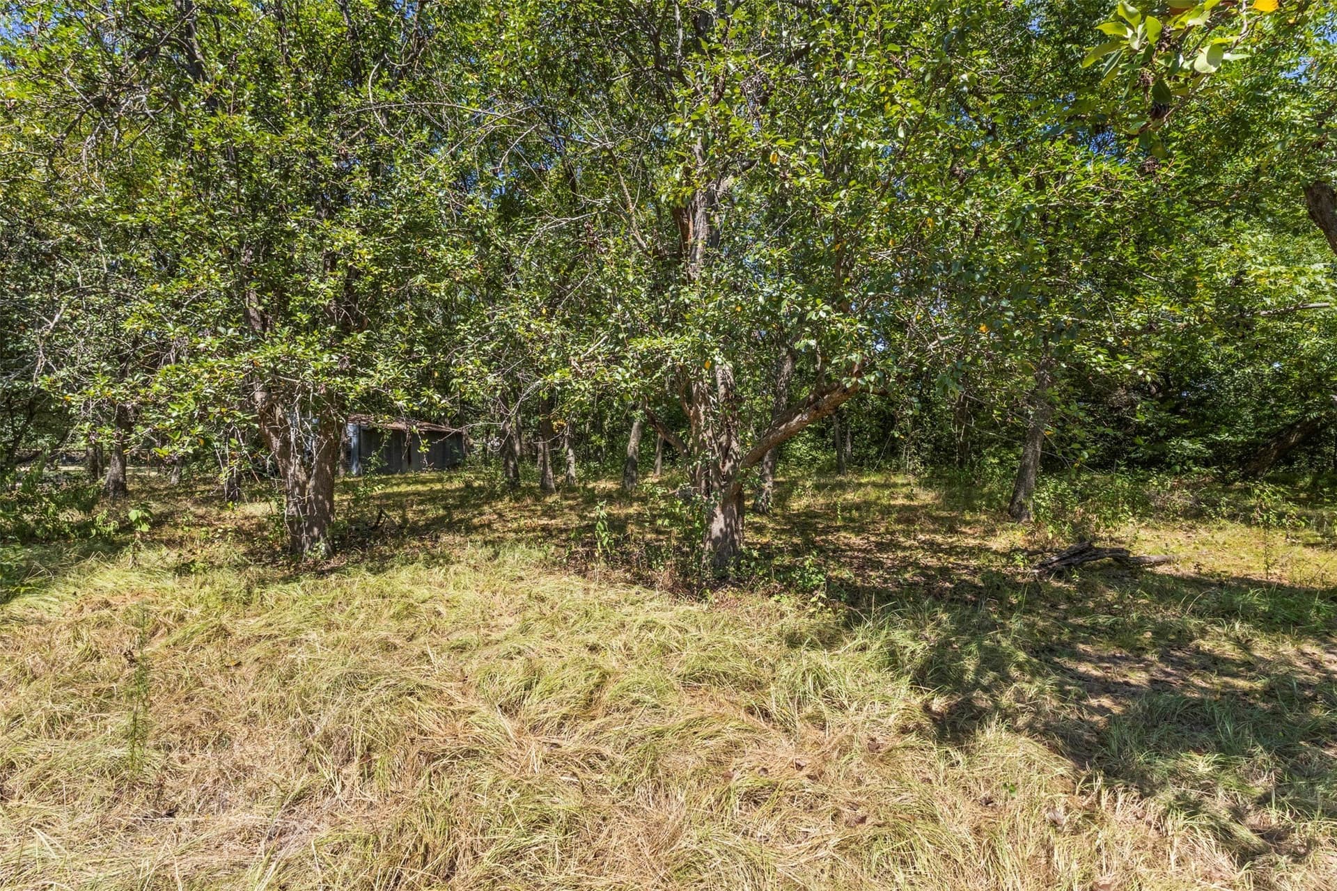 3 acres in Kaufman County - photo 9