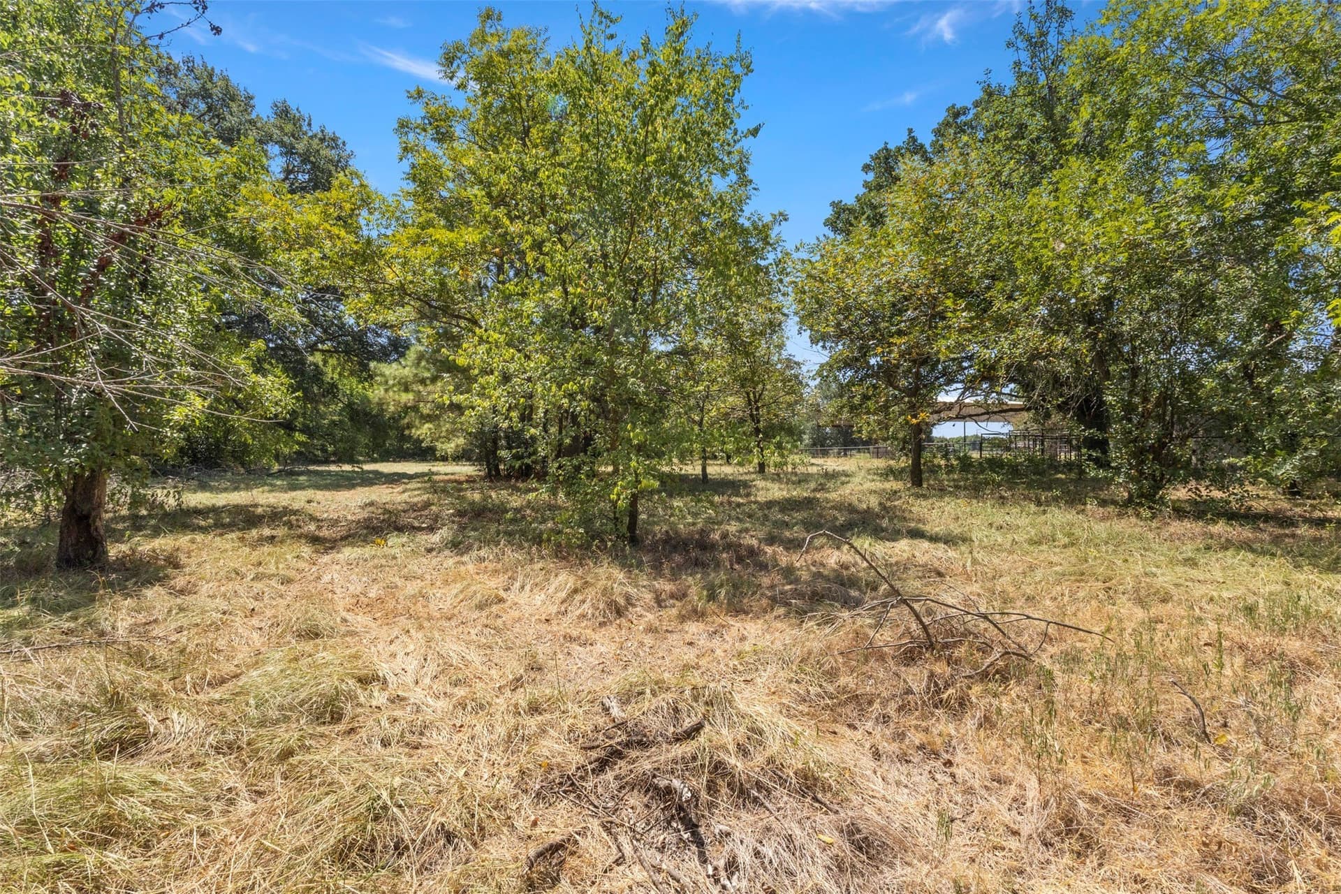 3 acres in Kaufman County - photo 8