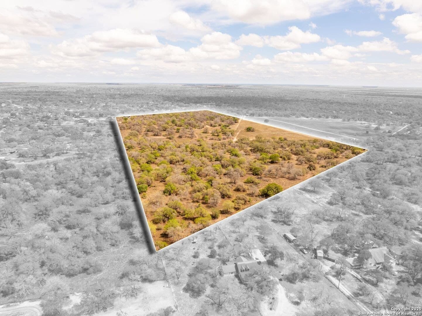 60.36 acres in Wilson County gallery image 3