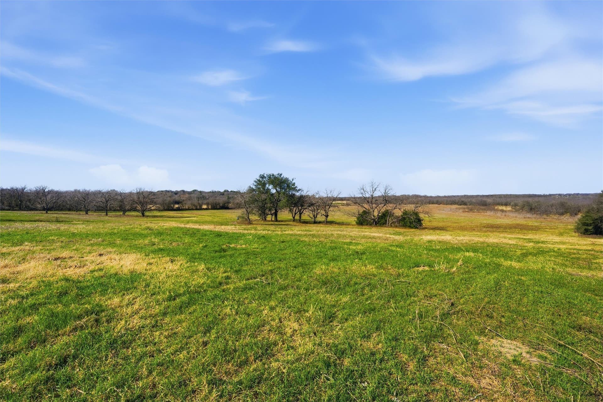 103.95 acres in Falls County - photo 30