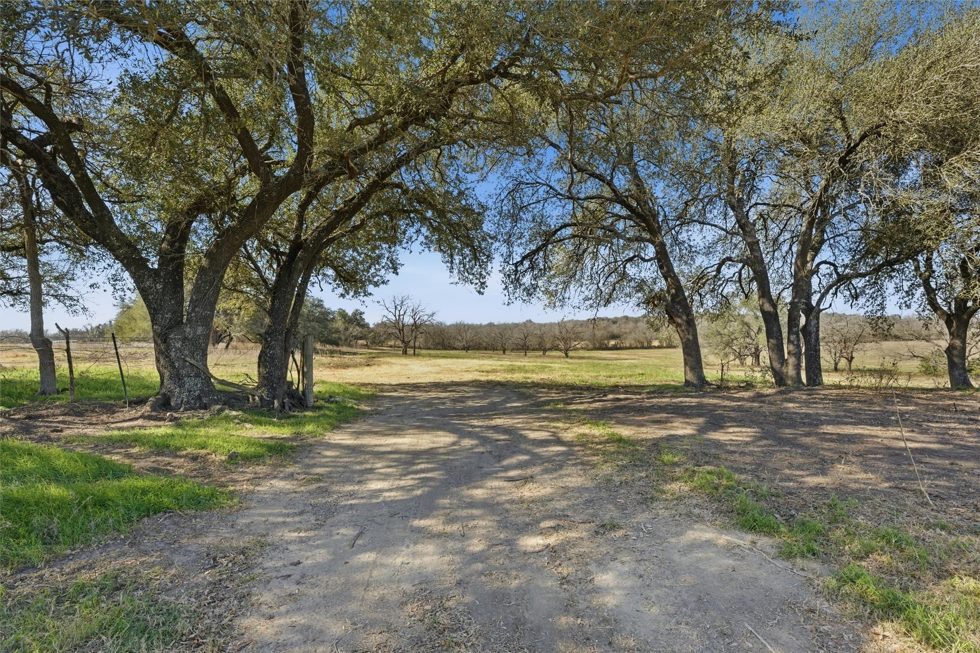 103.95 acres in Falls County - photo 6