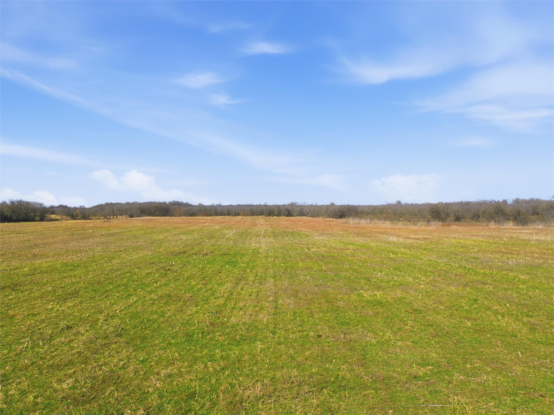 103.95 acres in Falls County - photo 11