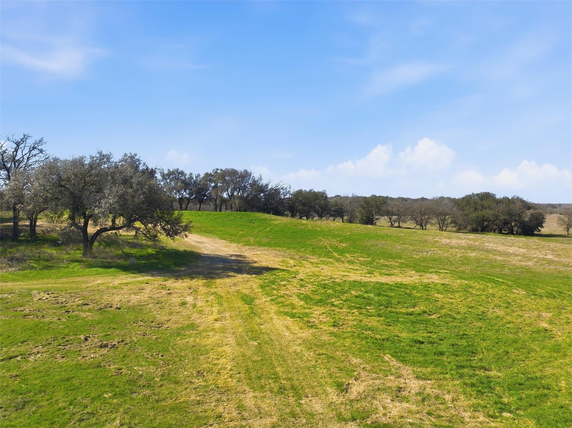 103.95 acres in Falls County - photo 17