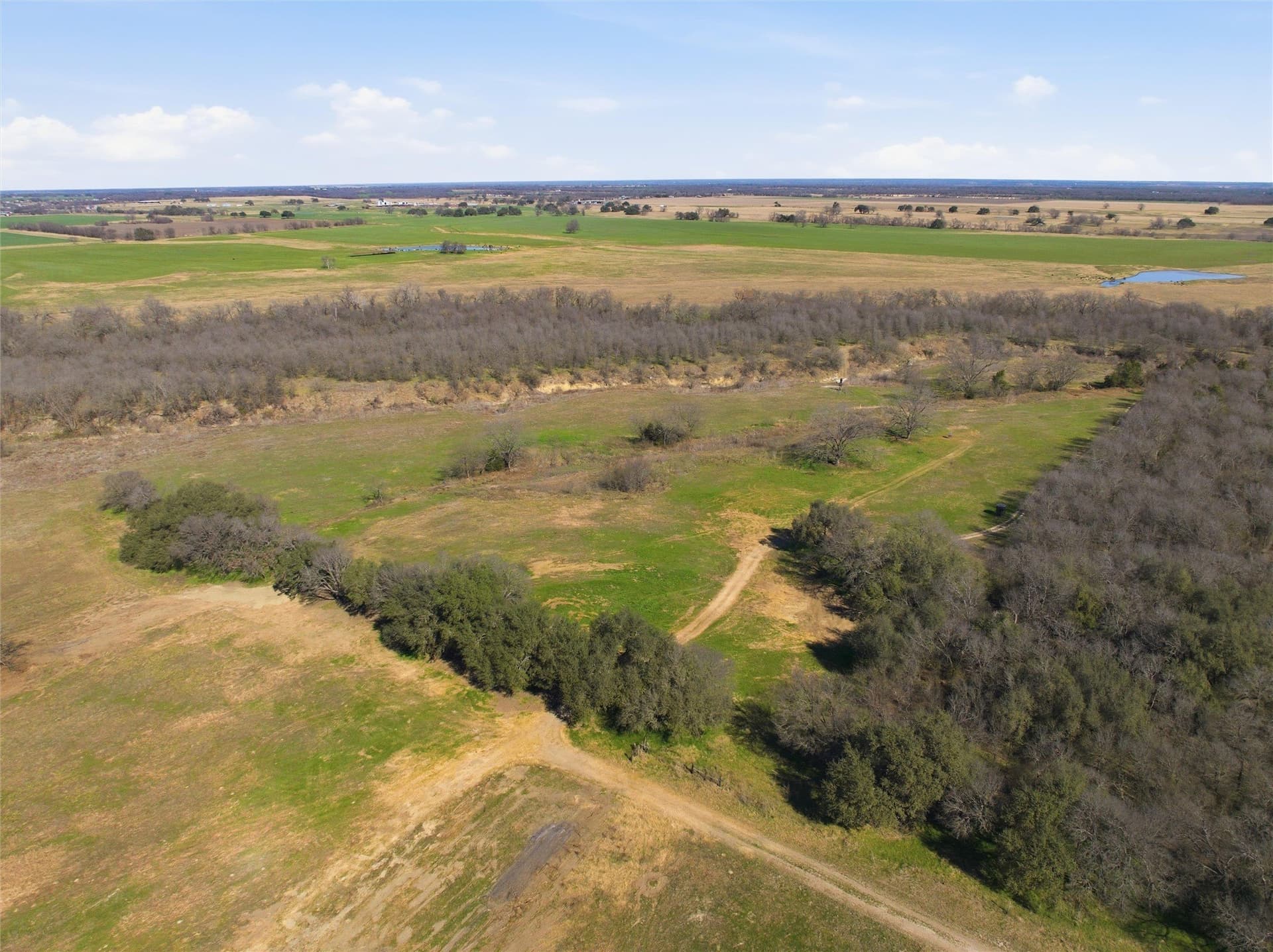 103.95 acres in Falls County - photo 12