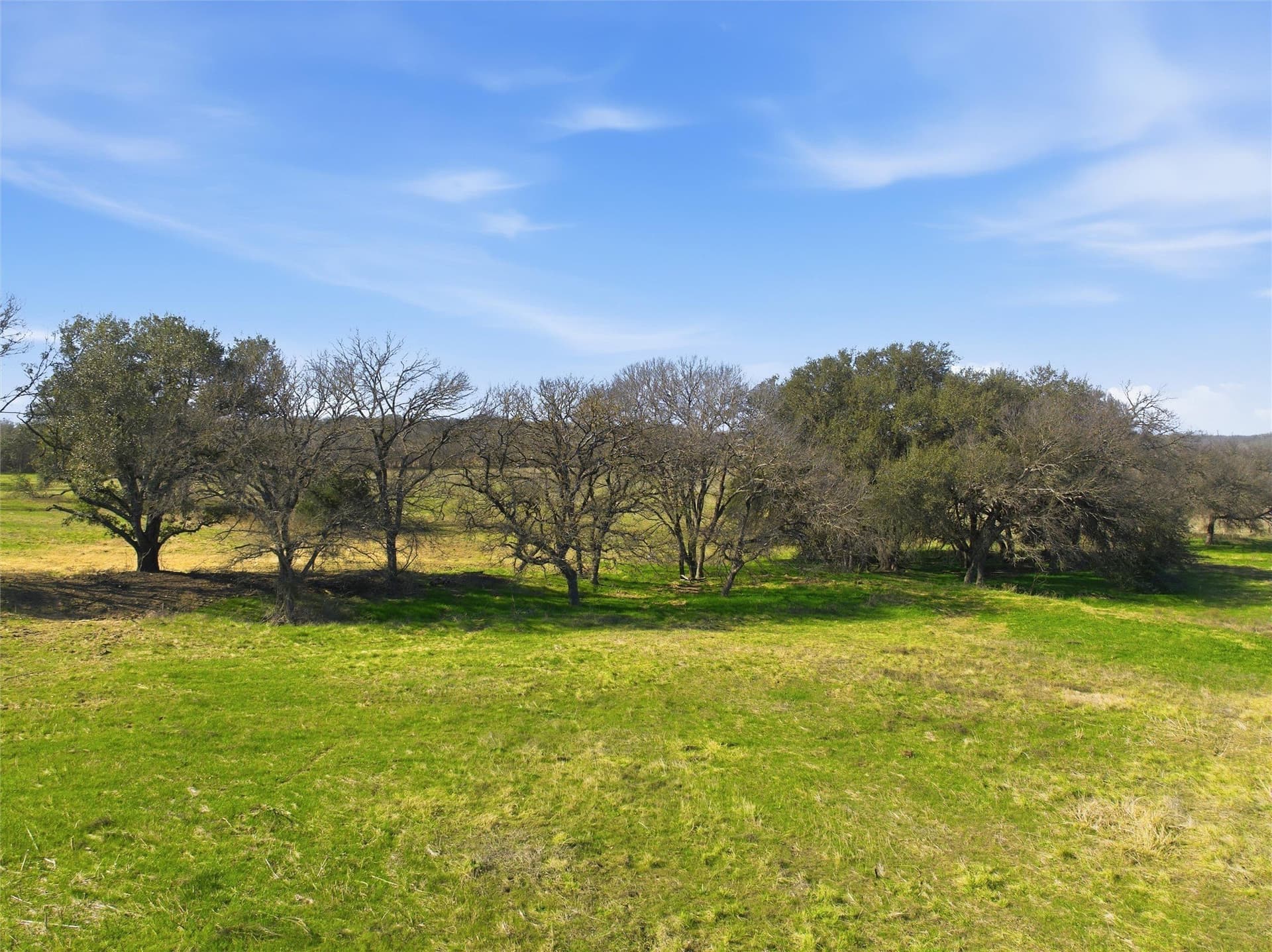 103.95 acres in Falls County - photo 9