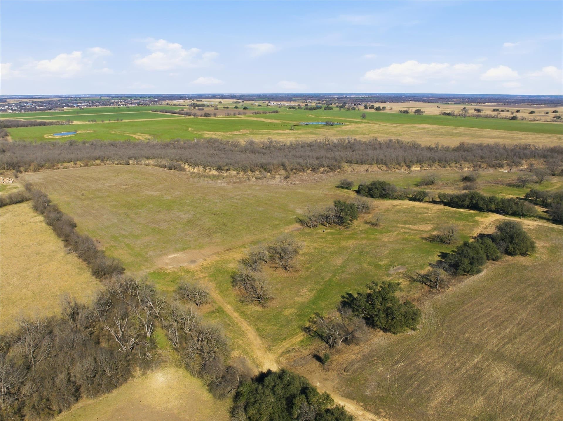 103.95 acres in Falls County - photo 13
