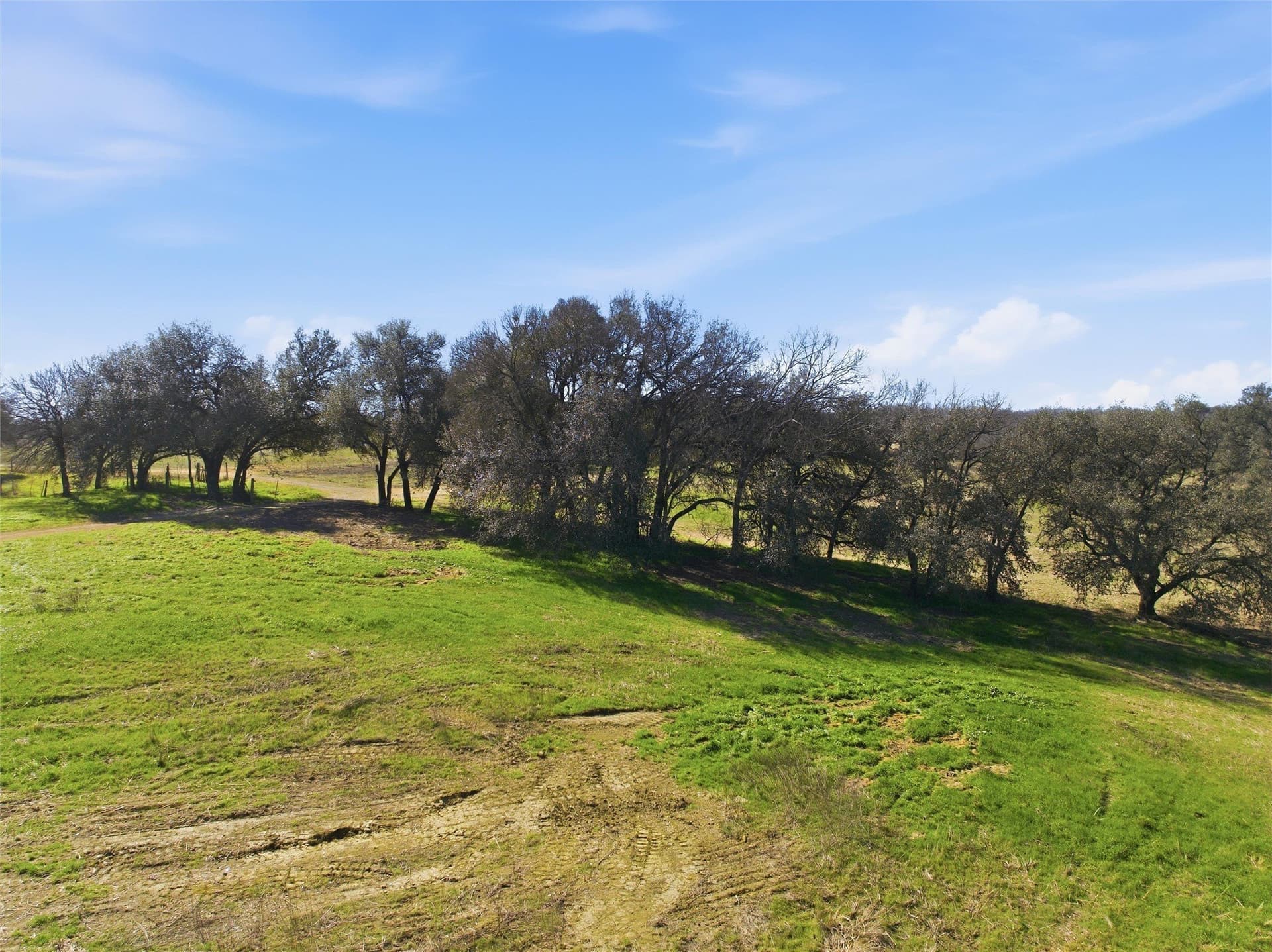 103.95 acres in Falls County - photo 16