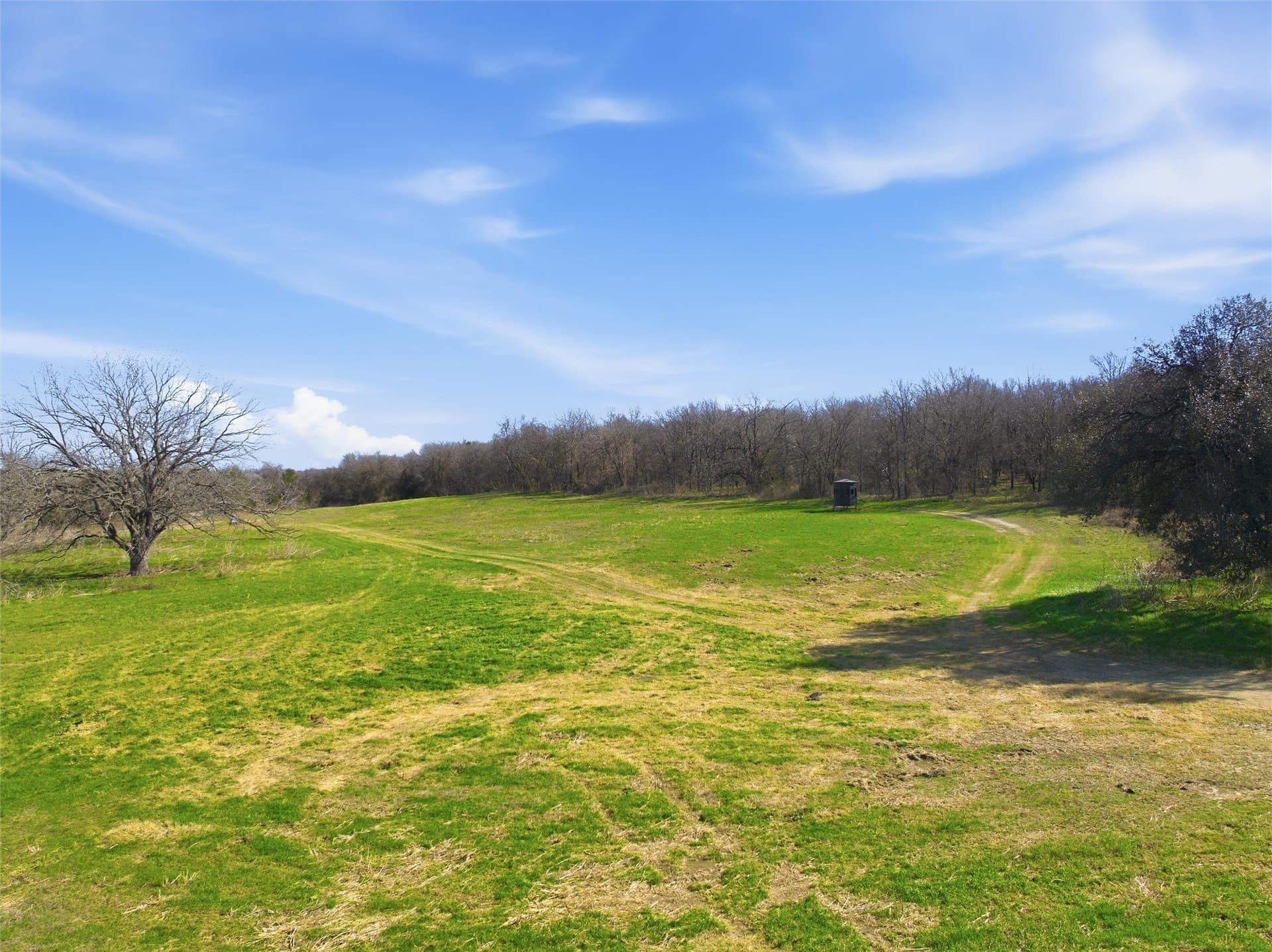 103.95 acres in Falls County - photo 18