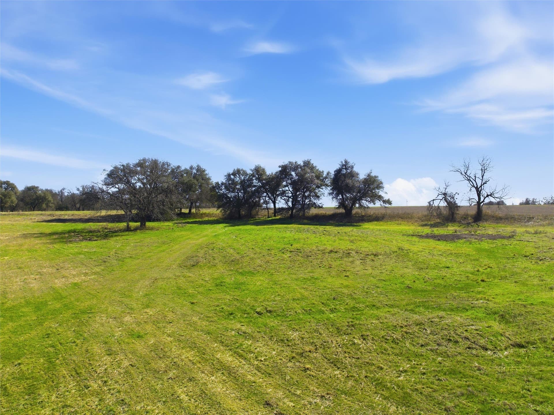 103.95 acres in Falls County - photo 19