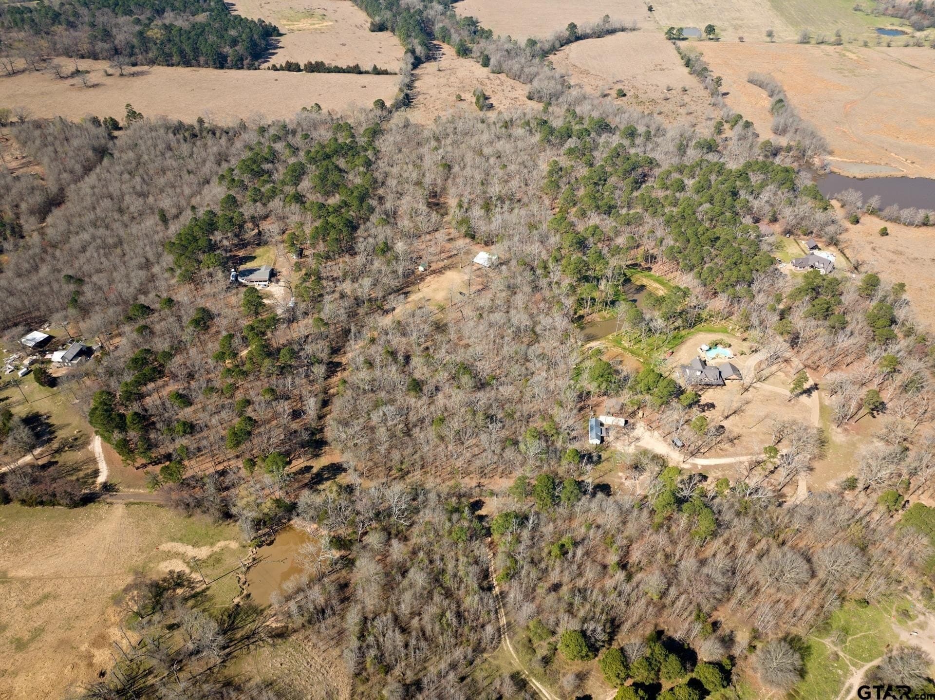 13.34 acres in Upshur County gallery image 4