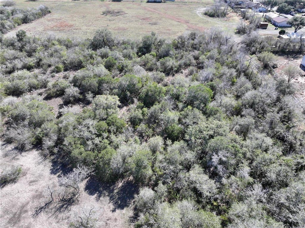 5.03 acres in Bee County - photo 8