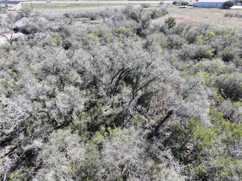 5.03 acres in Bee County - photo 17