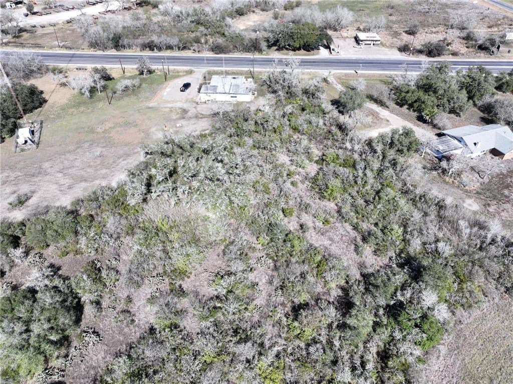 5.03 acres in Bee County - photo 13
