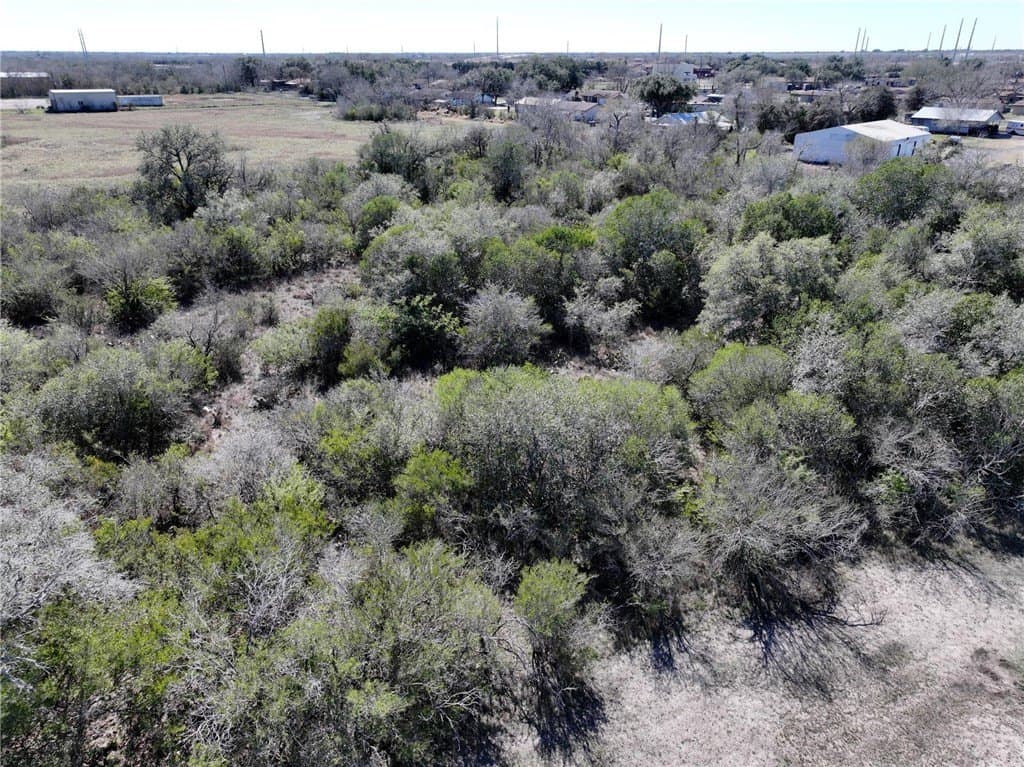 5.03 acres in Bee County - photo 18