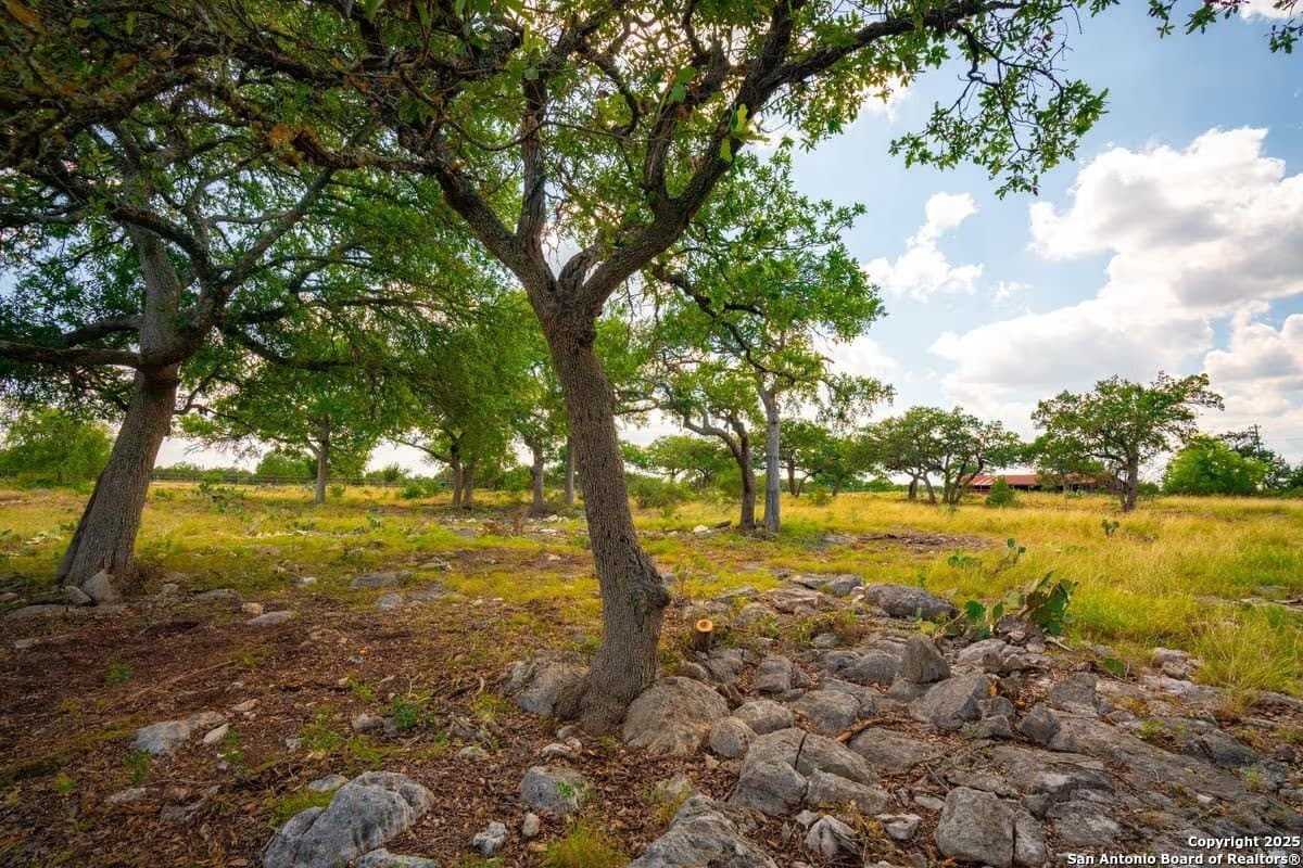 125 Acres in Kendall County