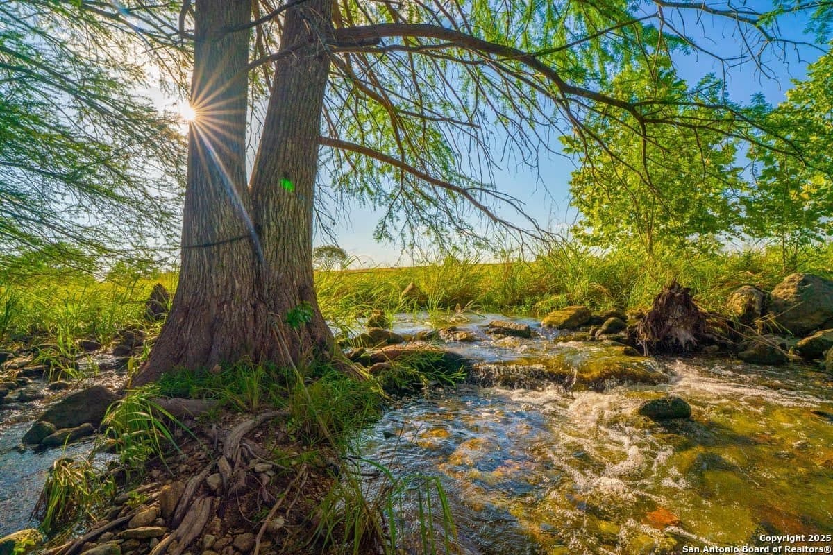 27.1 Acres in Kendall County