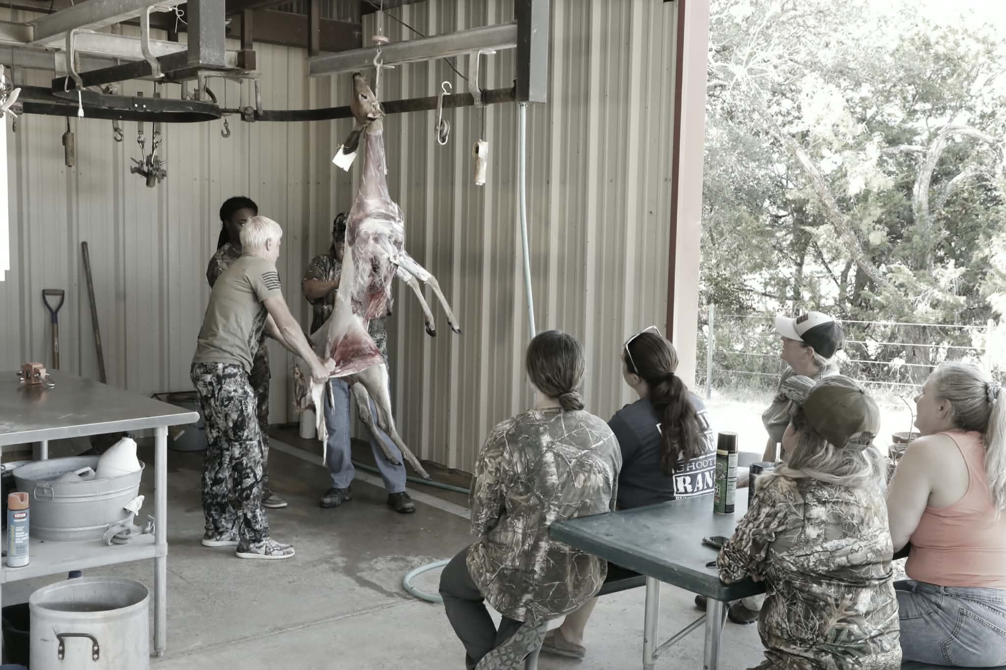  Women learning game processing as an instructor demonstrates field dressing a deer during a Texas Women's Outdoors workshop