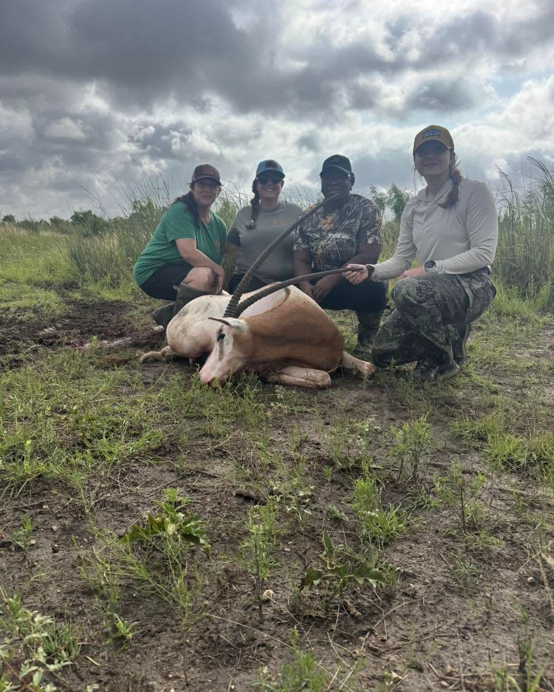  Four women hunters kneeling behind a harvested scimitar oryx in a Texas field under a cloudy sky