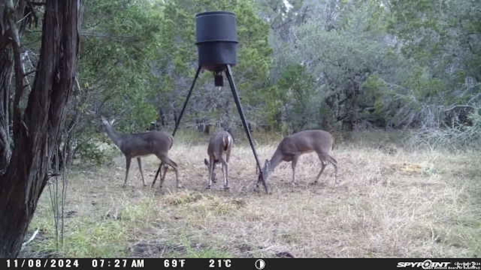20 acres in Medina County