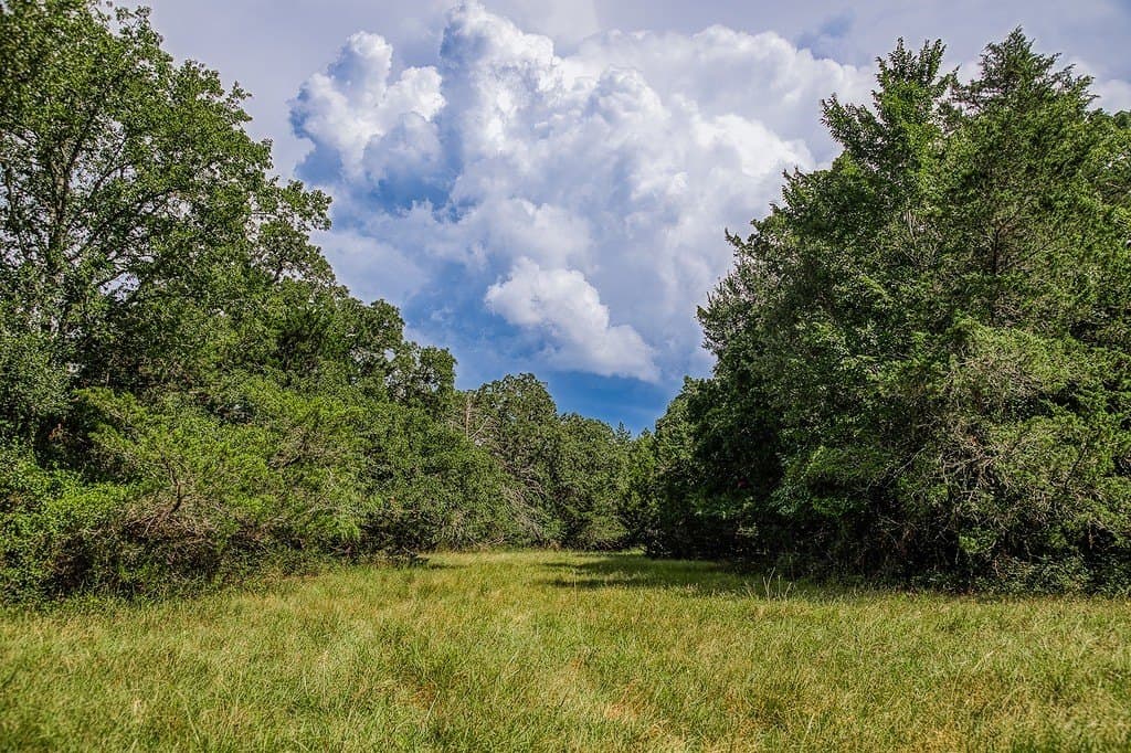 58.44 acres in Fayette County