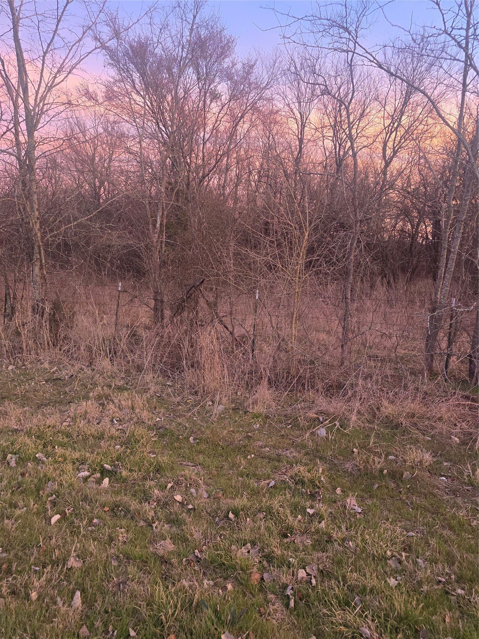 0.59 acres in Grayson County