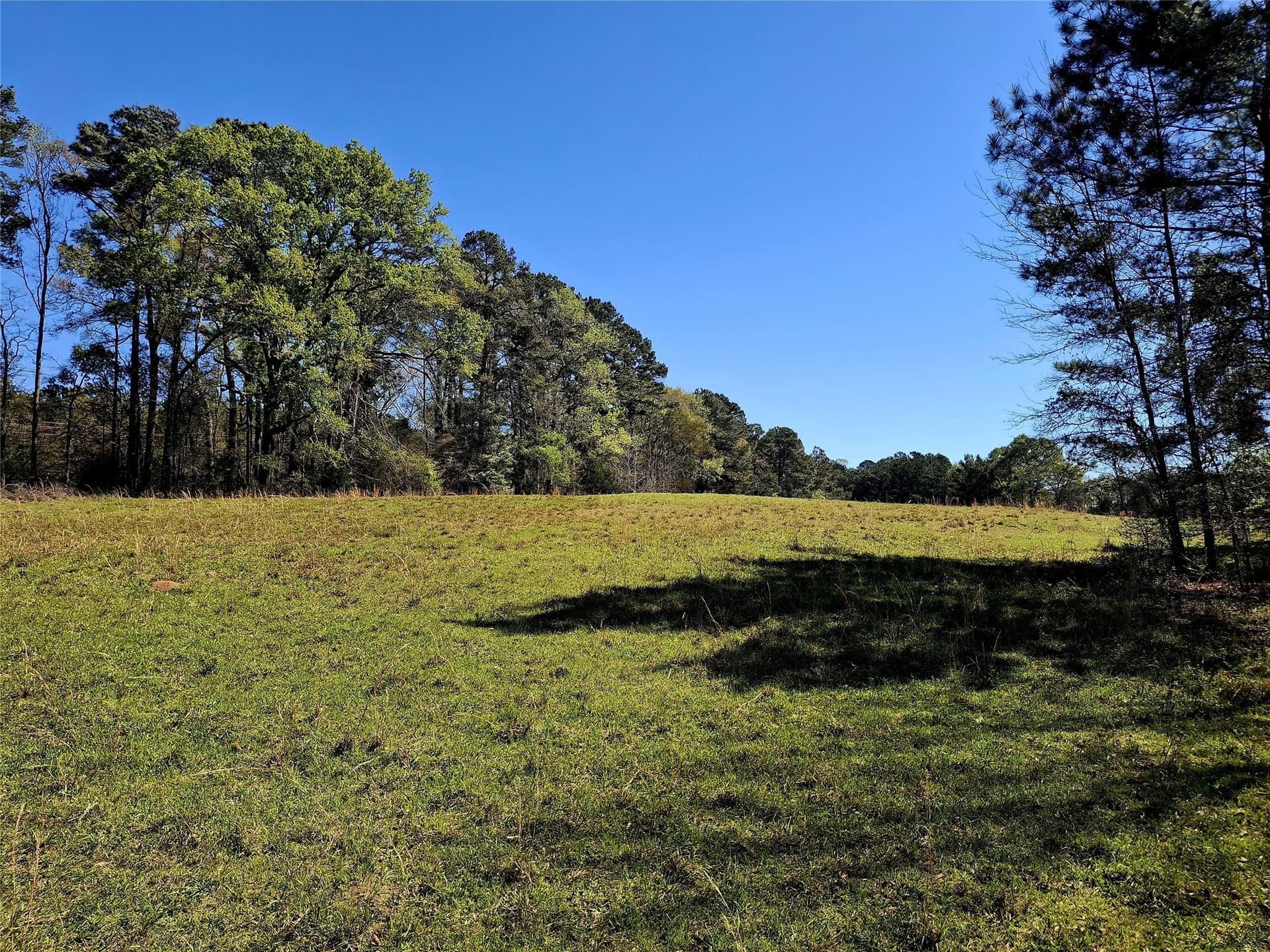 68.82 acres in Cherokee County