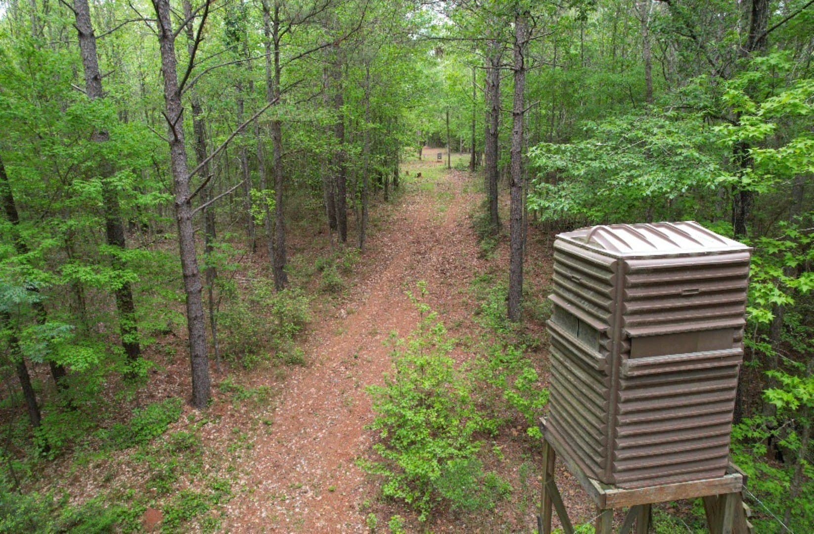 110 acres in San Augustine County